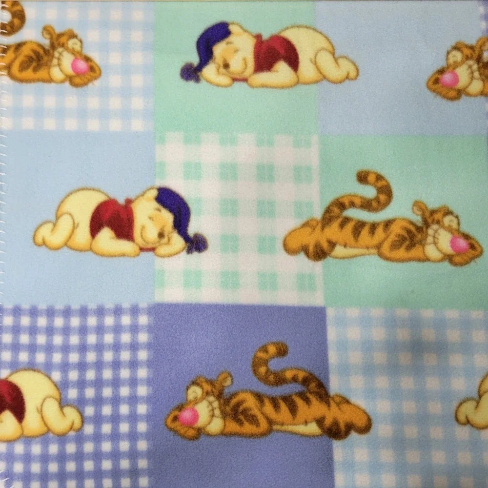 Vntg Disney Winnie the Pooh and Tigger Sleepy Time Fleece Blanket Blue And Green